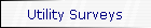 Utility Surveys